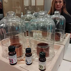  Francesco Stile - Galleria Foto - Shop - 28